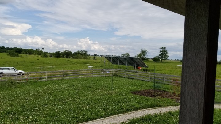 Solar panels pictured from a distance. A low fence runs between the viewer and the solar array.